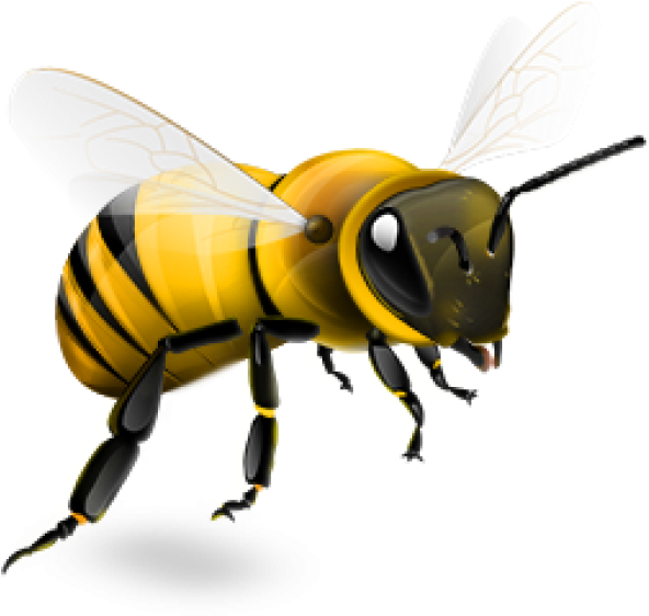 Bee Png (600x600), Png Download