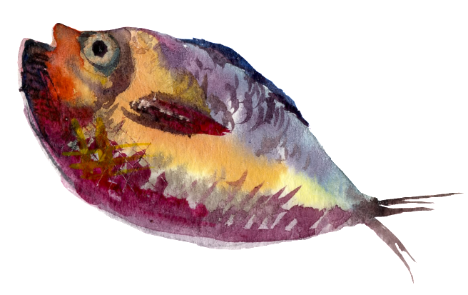 Yellow Purple Watercolor Hand Painted Goldfish Transparent - Fish Painting Png (1024x1024), Png Download