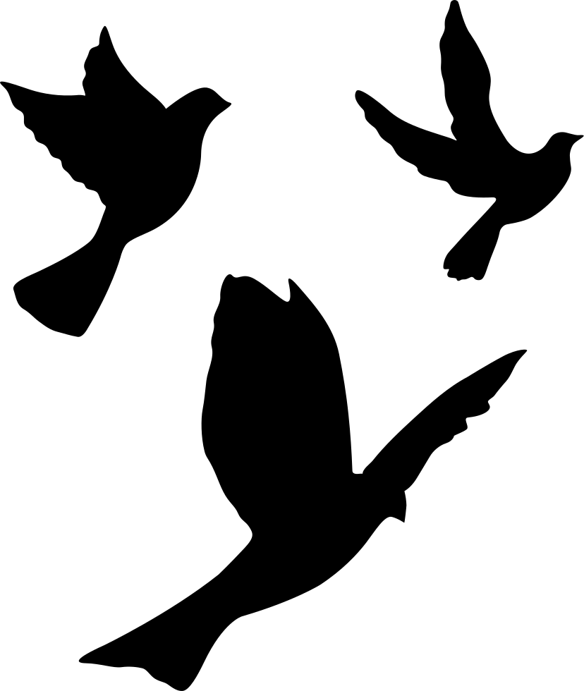 Flying Doves Group Comments - Siluetas De Pajaros Volando (828x980), Png Download