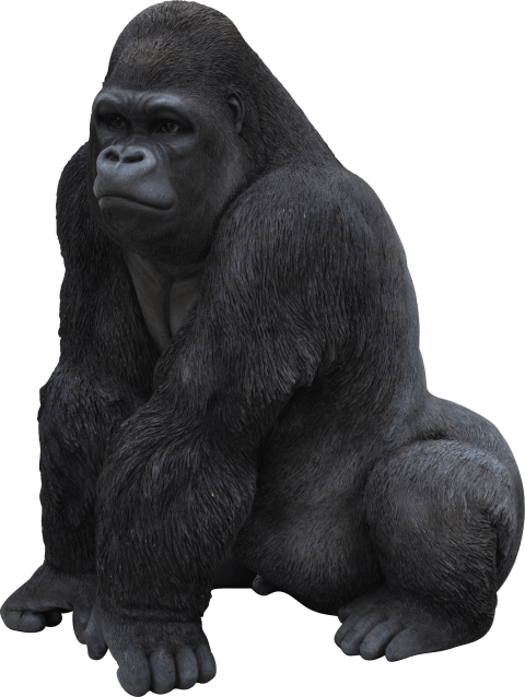 Free Png Gorilla Png Images Transparent - Gorilla Png (480x638), Png Download