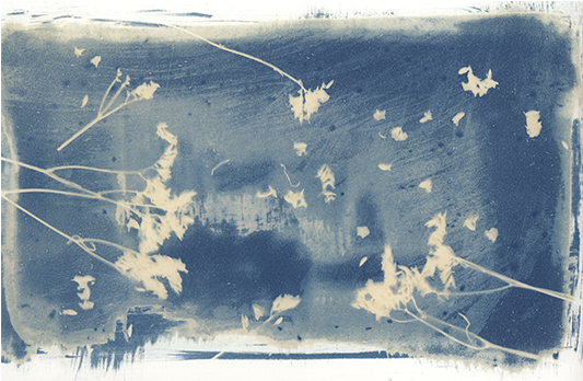 Image3 (753x532), Png Download