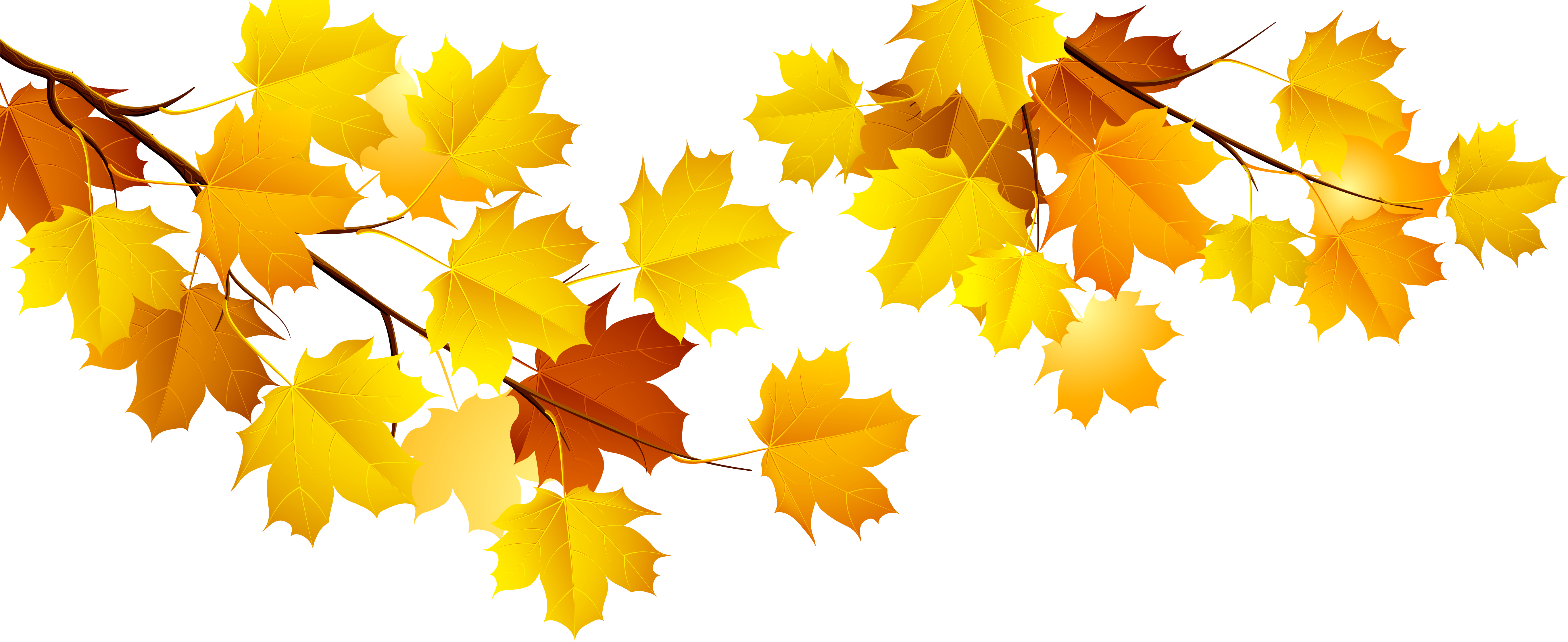 Autumn Branch Png Clipart - Autumn Png (5562x2304), Png Download