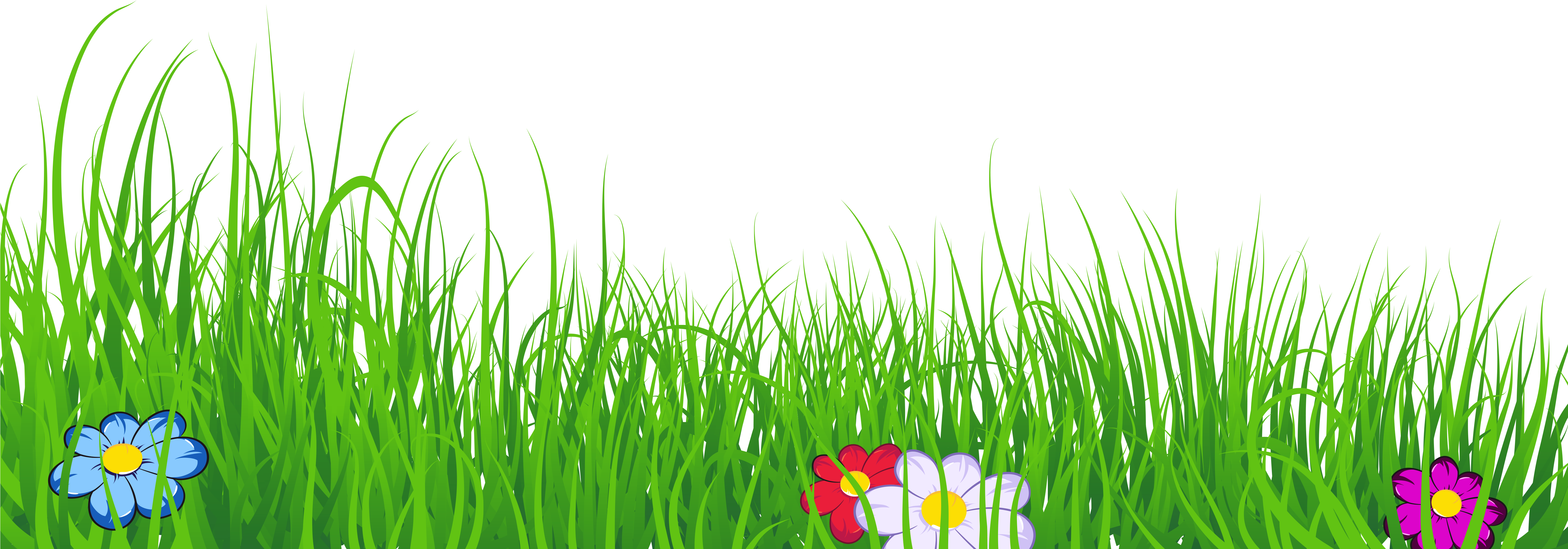 Ground Clipart Clear Background Grass - Grass Clipart Transparent Background (6000x2460), Png Download