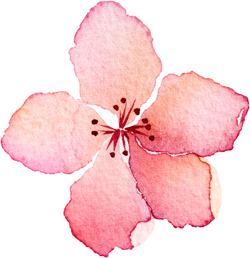 This Graphics Is Pink Hand Painted Flowers Cartoon - 花朵 图案 (1024x1024), Png Download