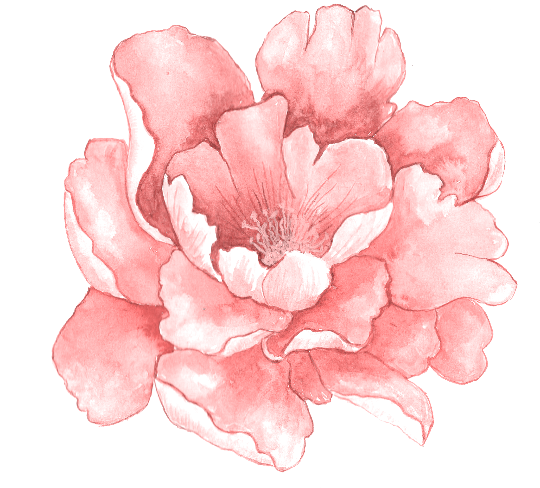 Watercolour - Water Color Flower Png (2339x1940), Png Download