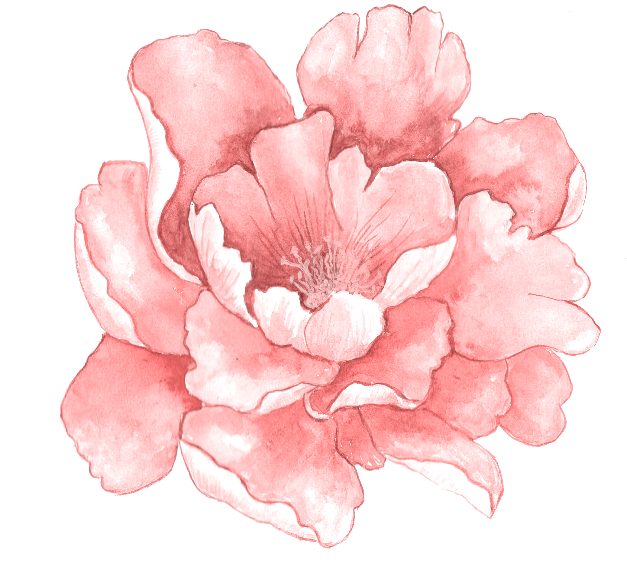 Download Watercolour Water Color Flower Png Png Image With No Background Pngkey Com Download Watercolour Water Color Flower Png Png Image With No Background Pngkey Com
