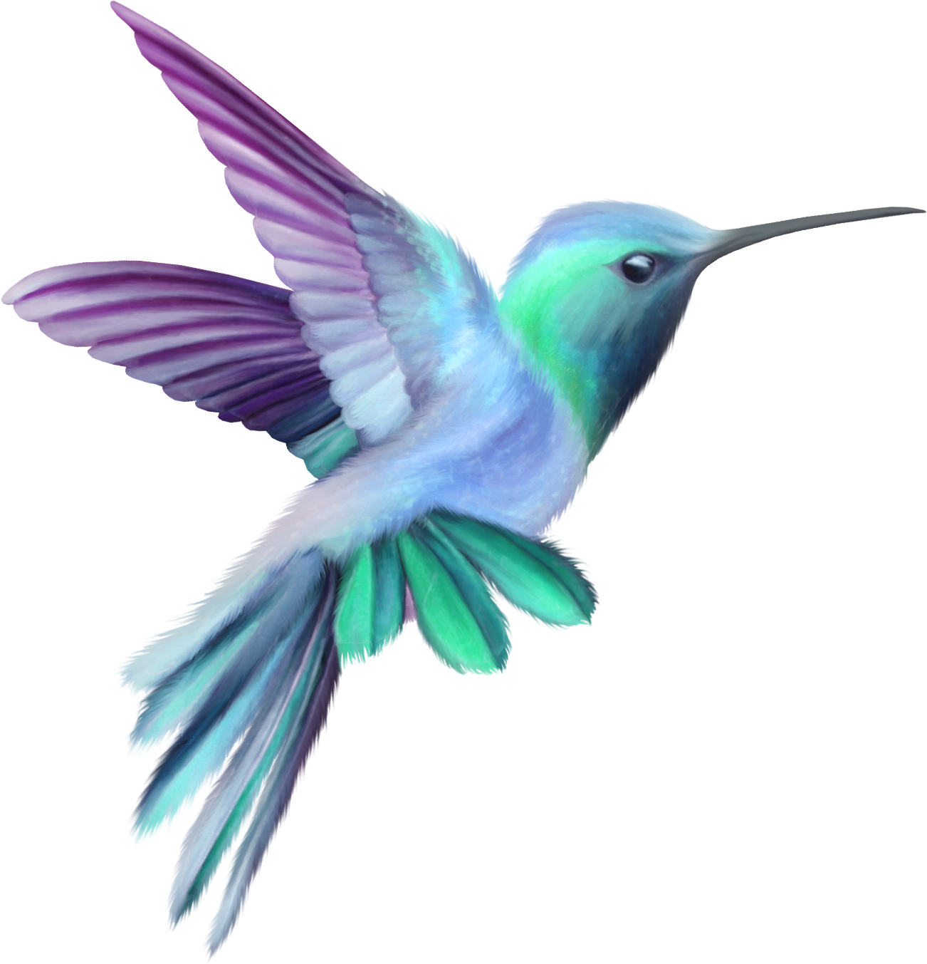 Image Result For Hummingbird - Hummingbird Clipart (1363x1373), Png Download