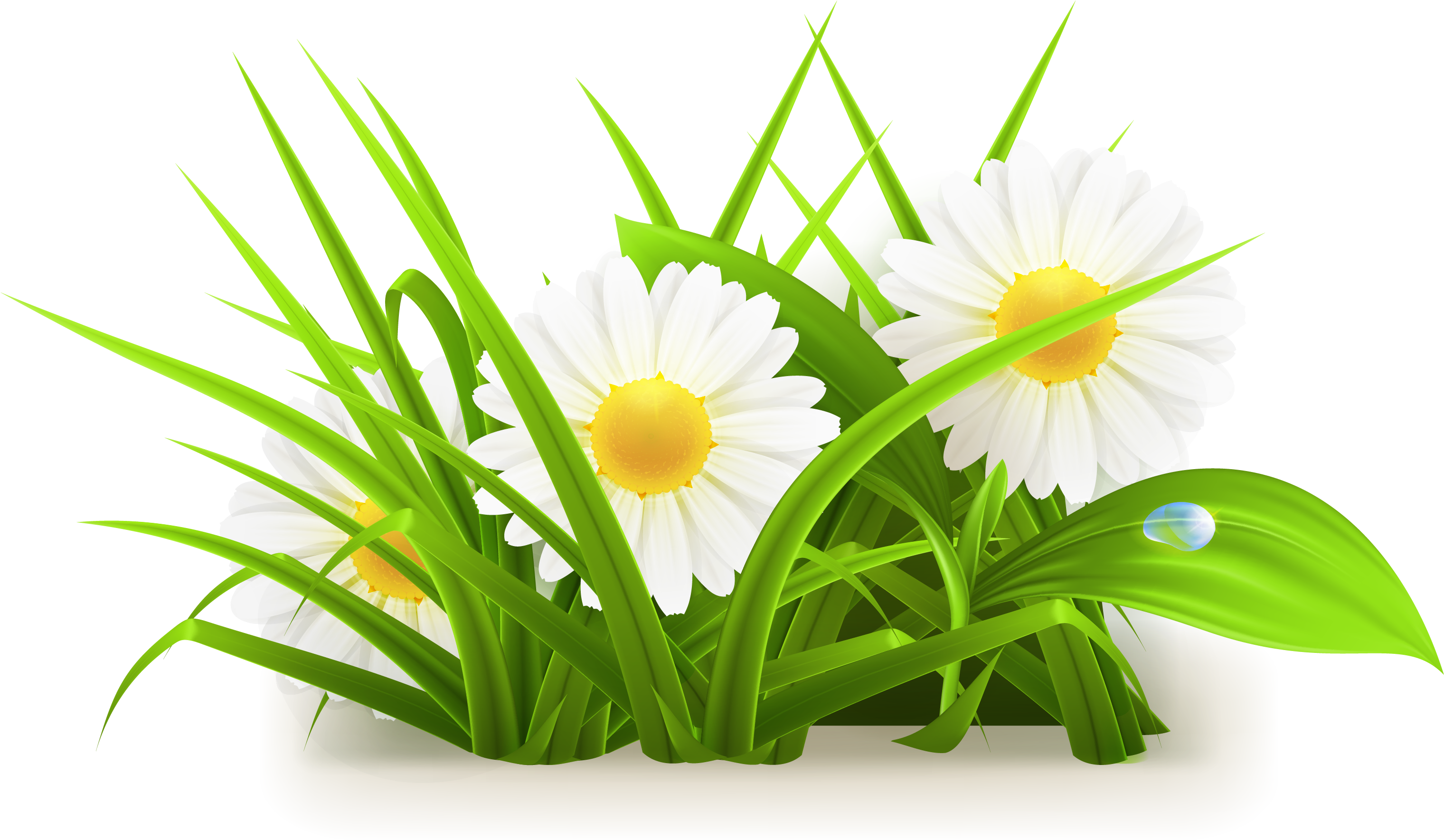 Flowers Grass Vector Grass Vector 3055*1776 - Flower Plant Vector Png (3055x1776), Png Download
