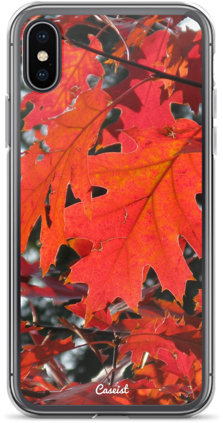 Autumn Maple Iphone Case - Zazzle Red Leaves Poster (1000x1000), Png Download