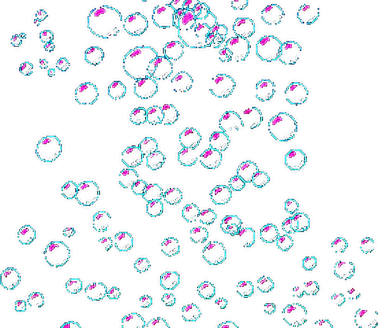 Gif Petalos Png (552x478), Png Download