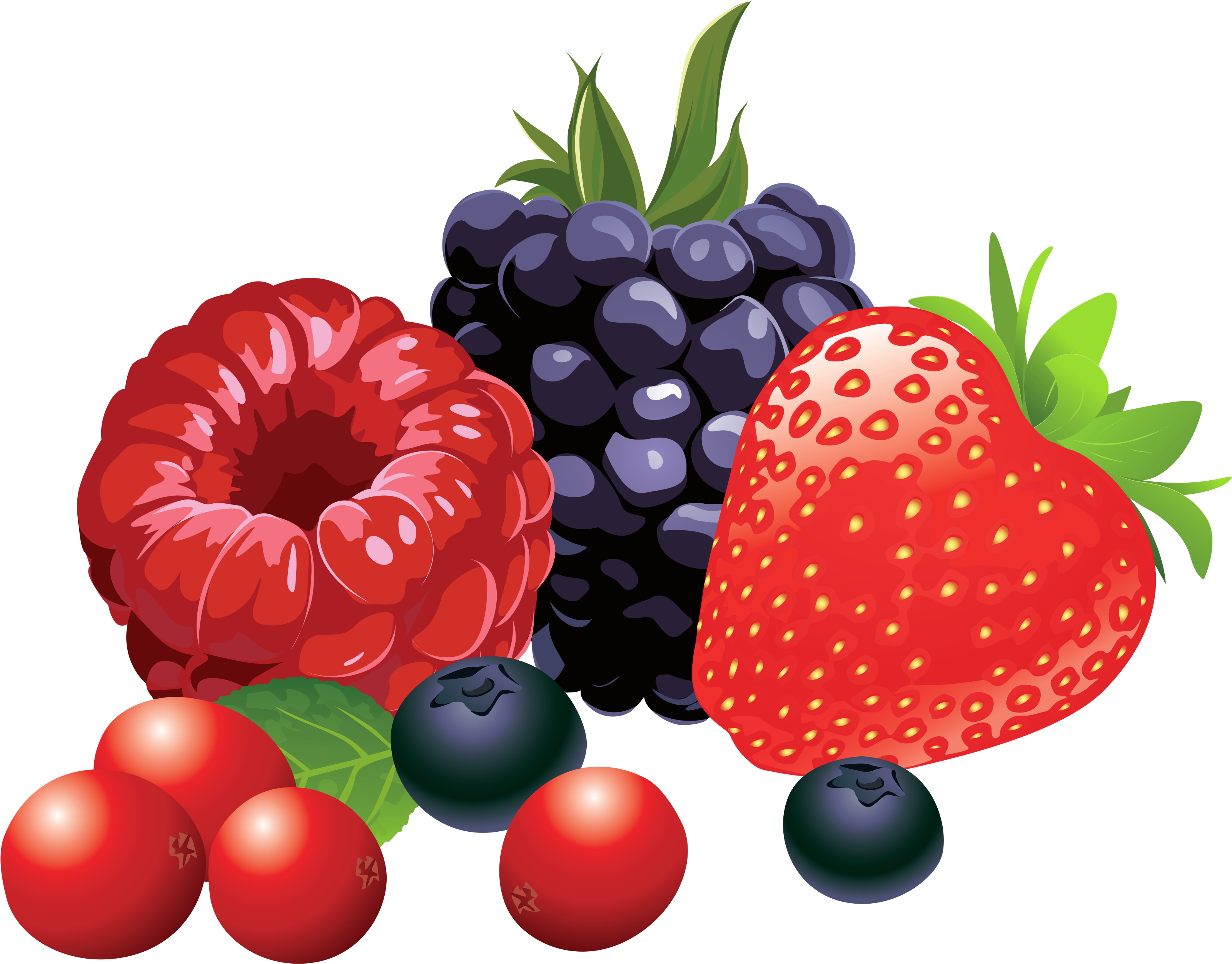 Fruit Clipart Png (3480x2681), Png Download