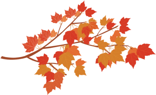 Autumn Branch Png (534x366), Png Download