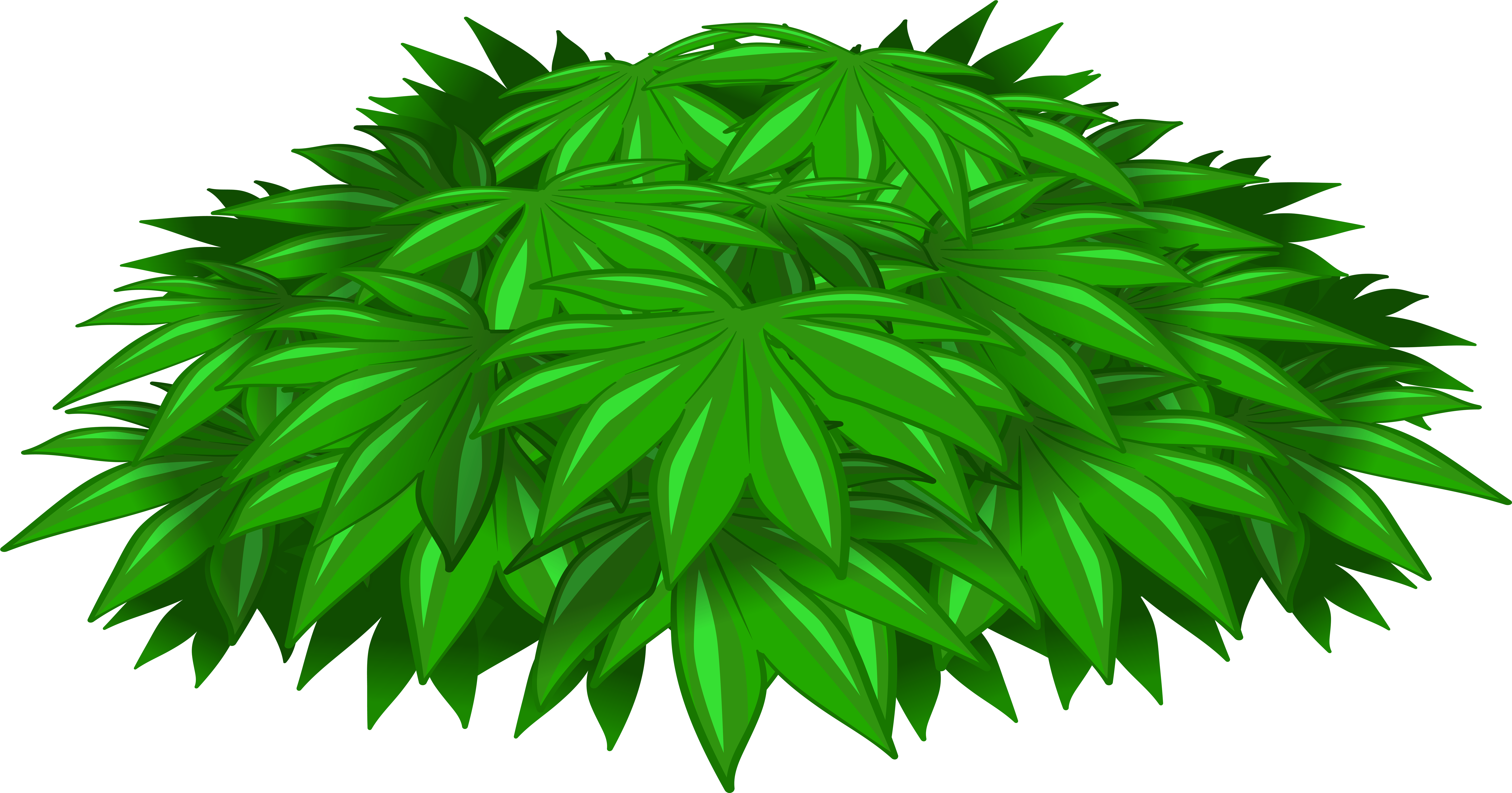 Plant Png (8000x4289), Png Download
