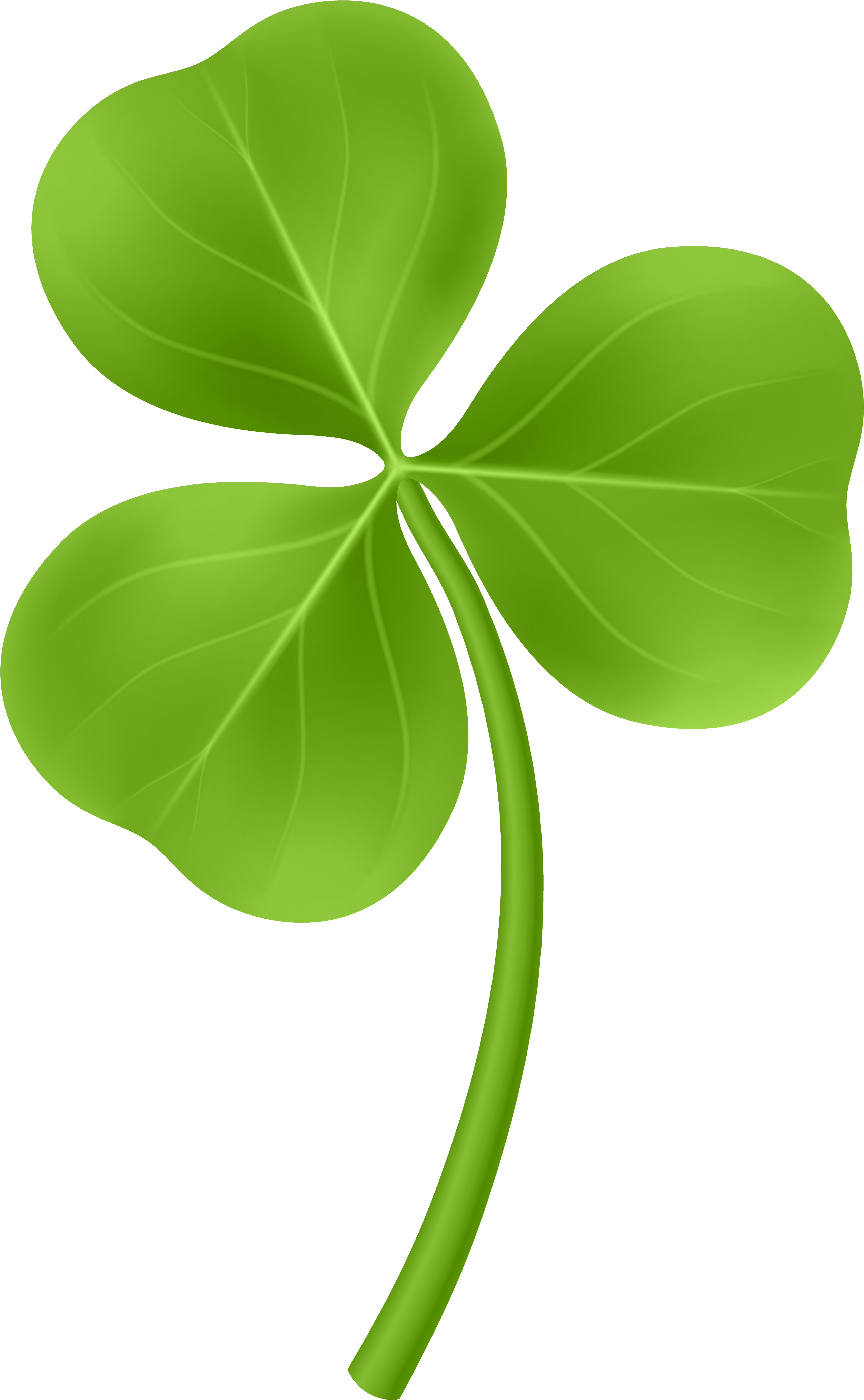 Shamrock Png (4377x7000), Png Download