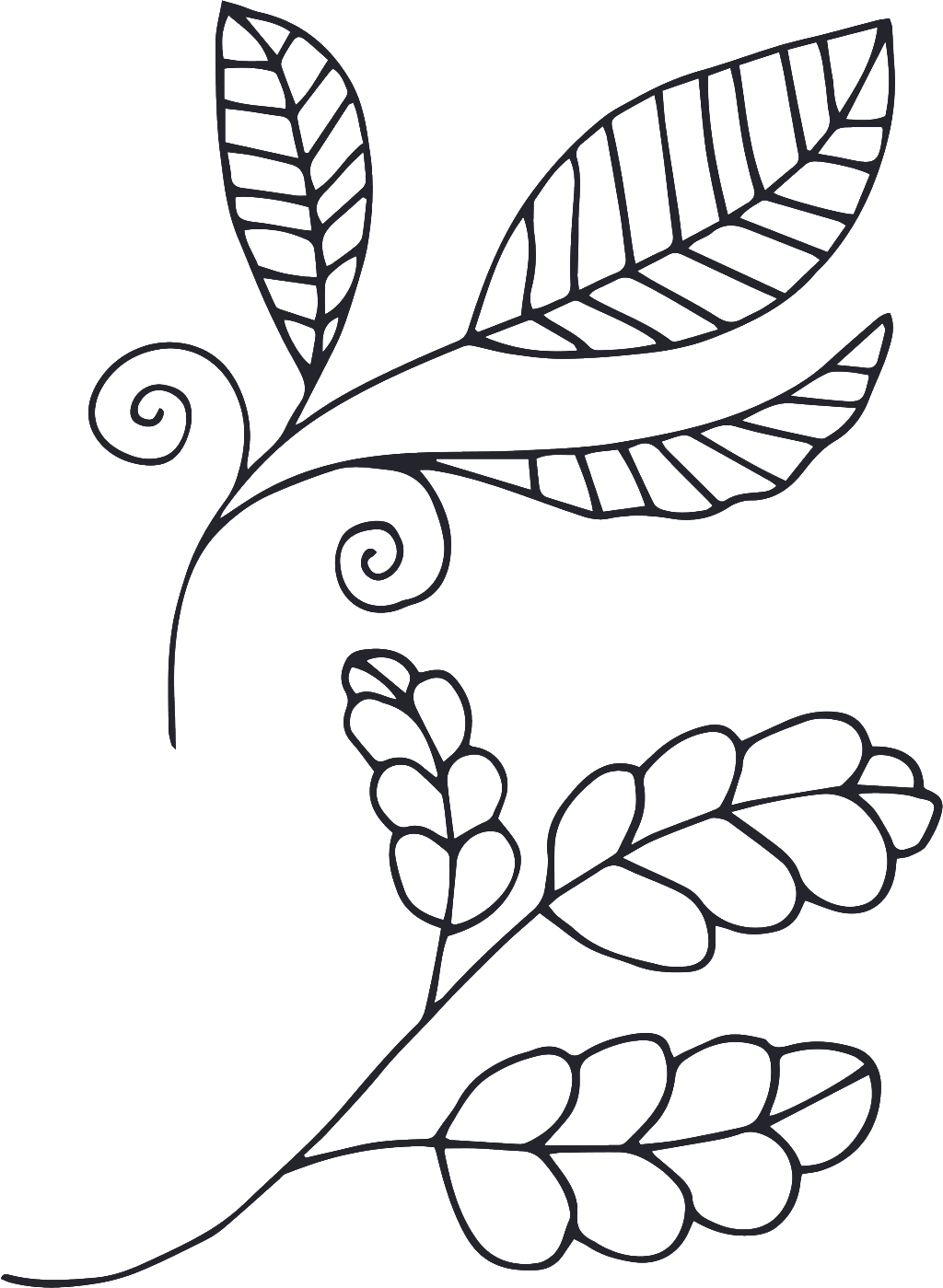 This Graphics Is Hand Drawn Plant Cartoon Transparent - Cartoon (1024x1399), Png Download