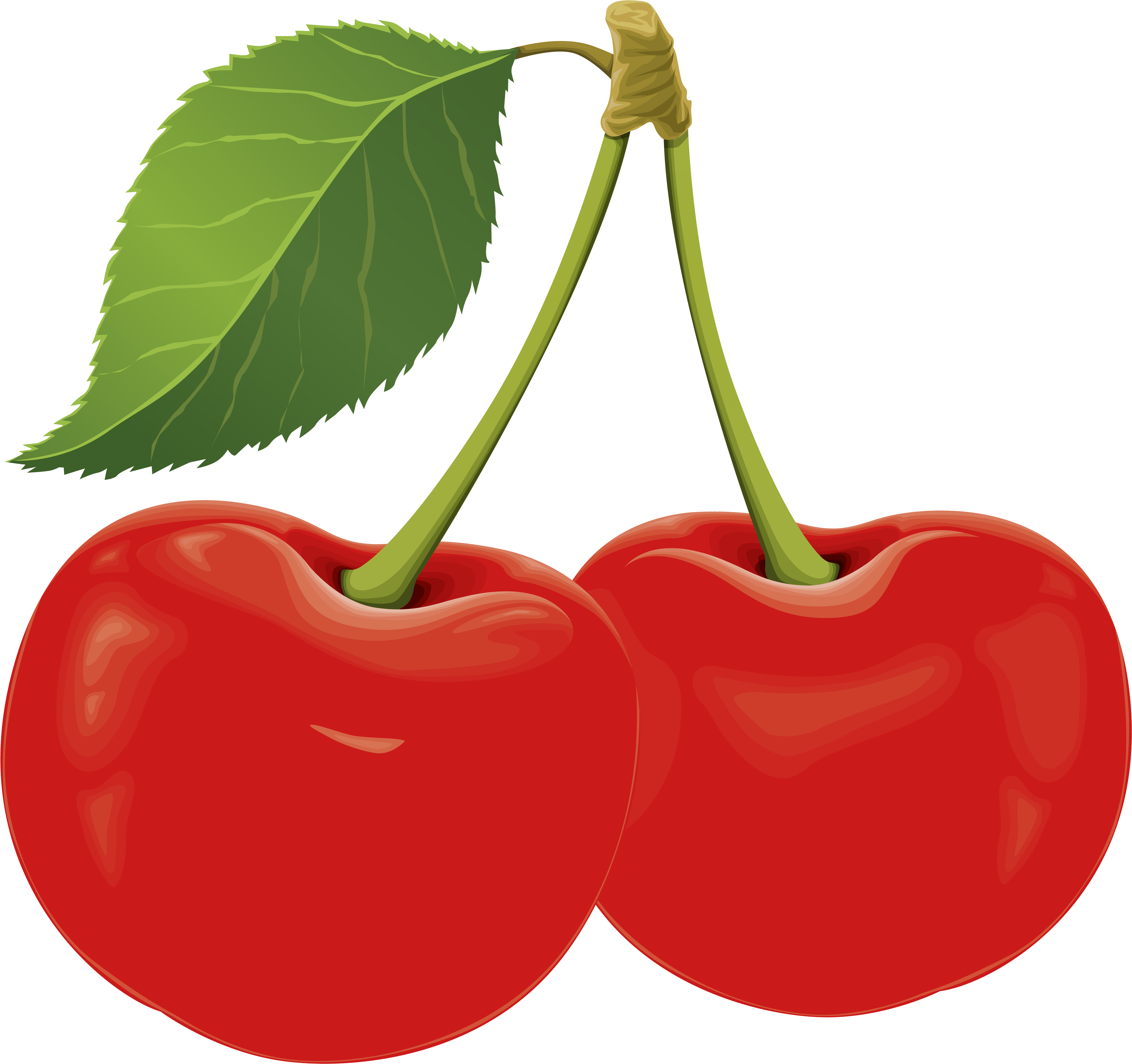 Sour Cherry Png Clip Art (8000x7487), Png Download