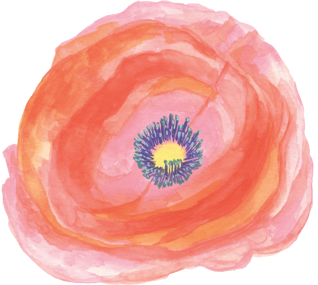 Poppy (1188x1146), Png Download