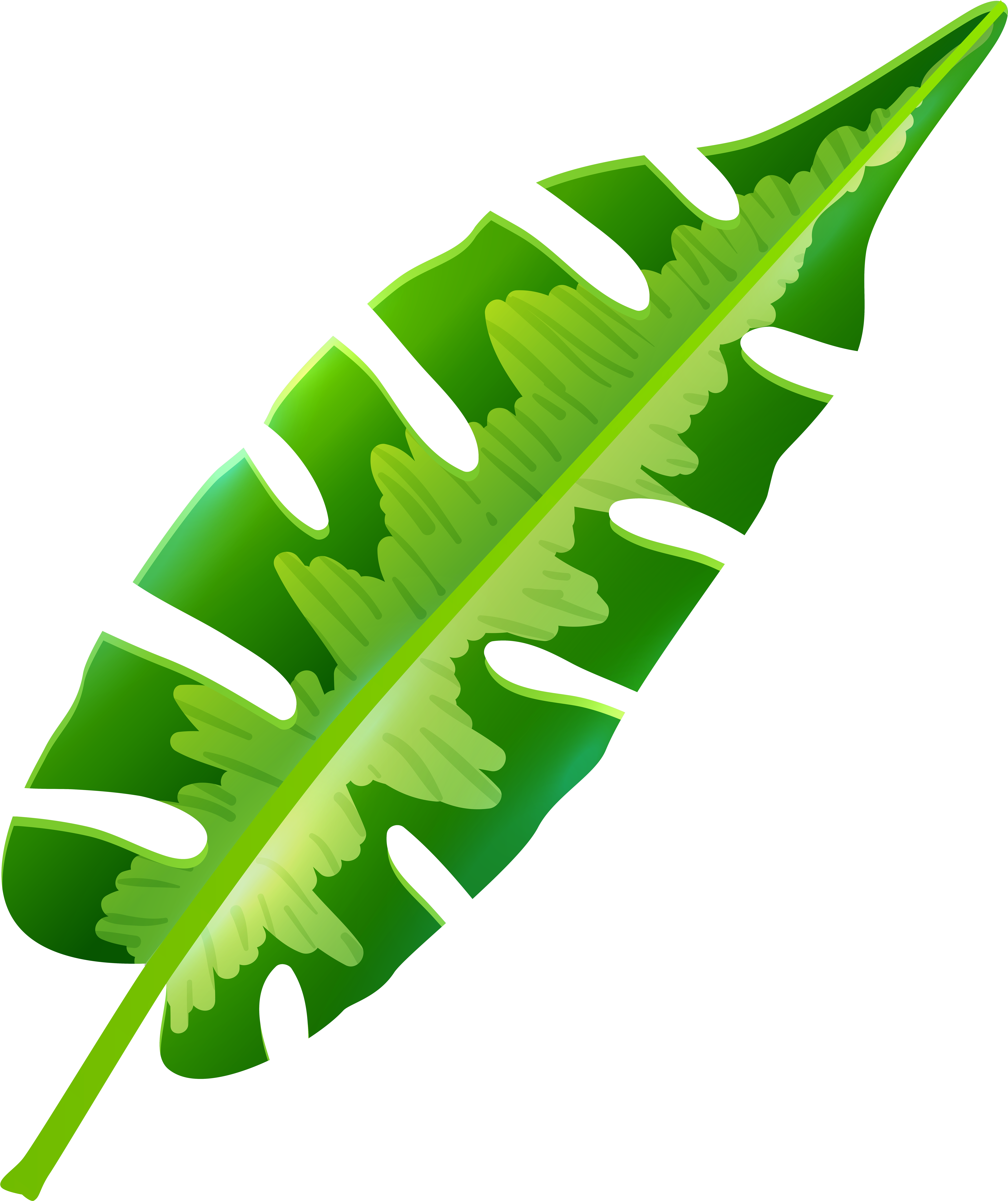 Tropical Leaf Png Clip Art (6775x8000), Png Download