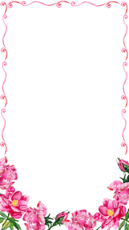 Pink Flower Border Clipart - Pink Floral Border Png (260x462), Png Download