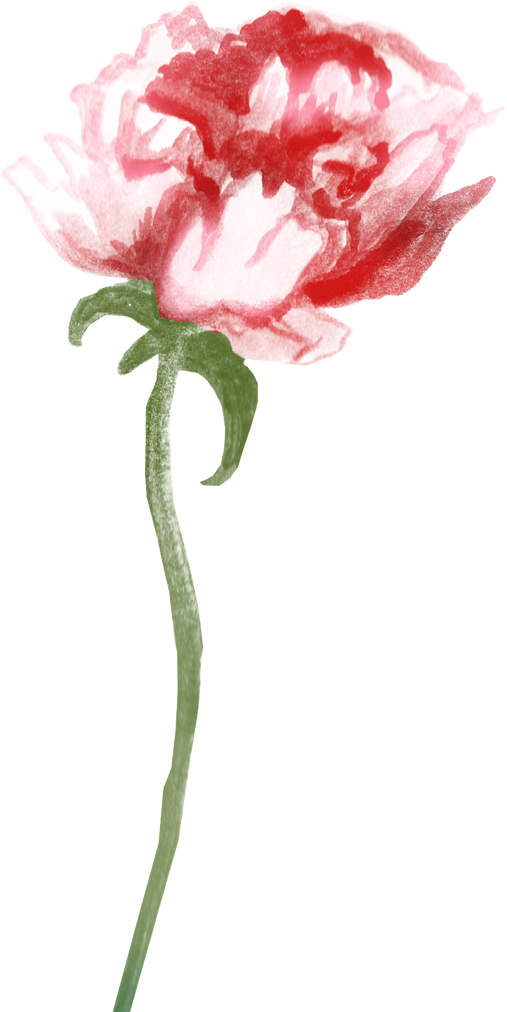 47z58picgyb 1024 X Oss Process=image/quality,q 70/watermark - Clip Art (1024x2043), Png Download