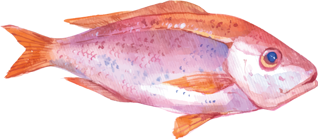 Oyster Watercolor Painting Seafood Illustration - Sea Food Illustration (1600x1600), Png Download