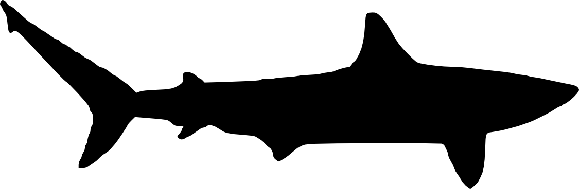 Free Download - Mako Shark Shark Silhouette (1125x368), Png Download