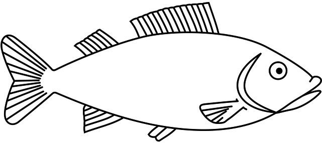 Easy Long Fish Drawings - Fish Outline (600x261), Png Download