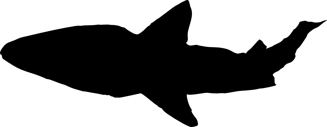 Free Download - Shark Silhouette Jpg (1125x439), Png Download