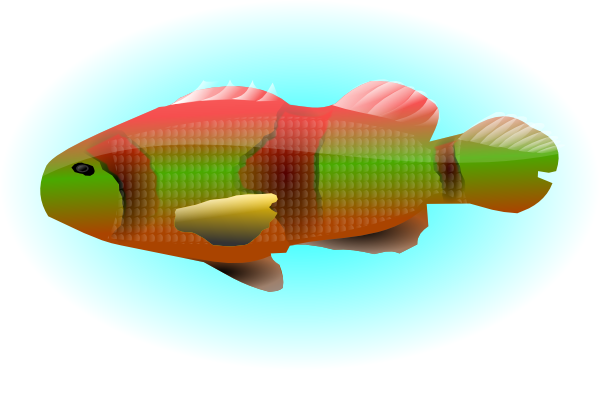 Fish In - Clip Art (600x393), Png Download