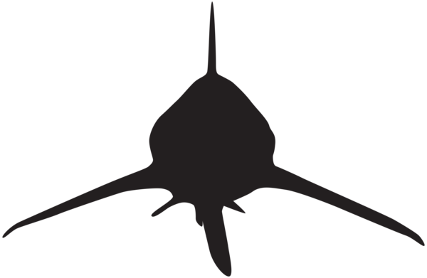 0, - Shark Attack Silhouette (600x391), Png Download
