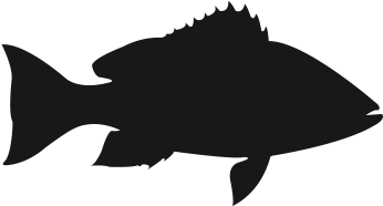 Order Or More Information - Silhouette (500x500), Png Download
