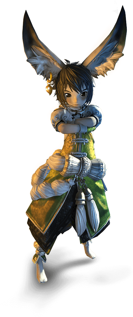 Race Expanded C Lyn M - Blade And Soul Lyn Png (469x1072), Png Download