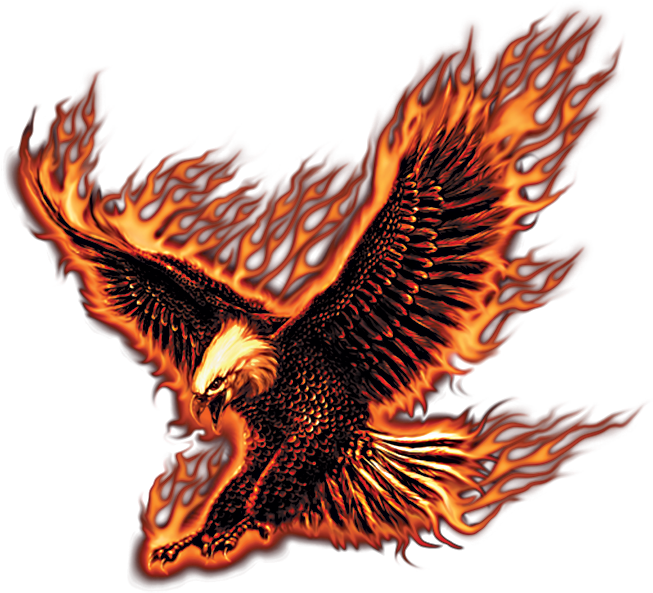 Jpg Black And White Library Flying Fire Eagle - Transparent Fire Eagle Png (600x600), Png Download