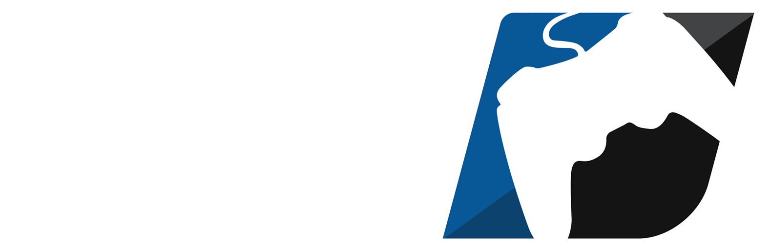 Major League Gaming (1920x1080), Png Download