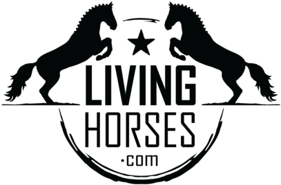 Living Horses Logo Black And White - Horse Logo Black And White (480x360), Png Download