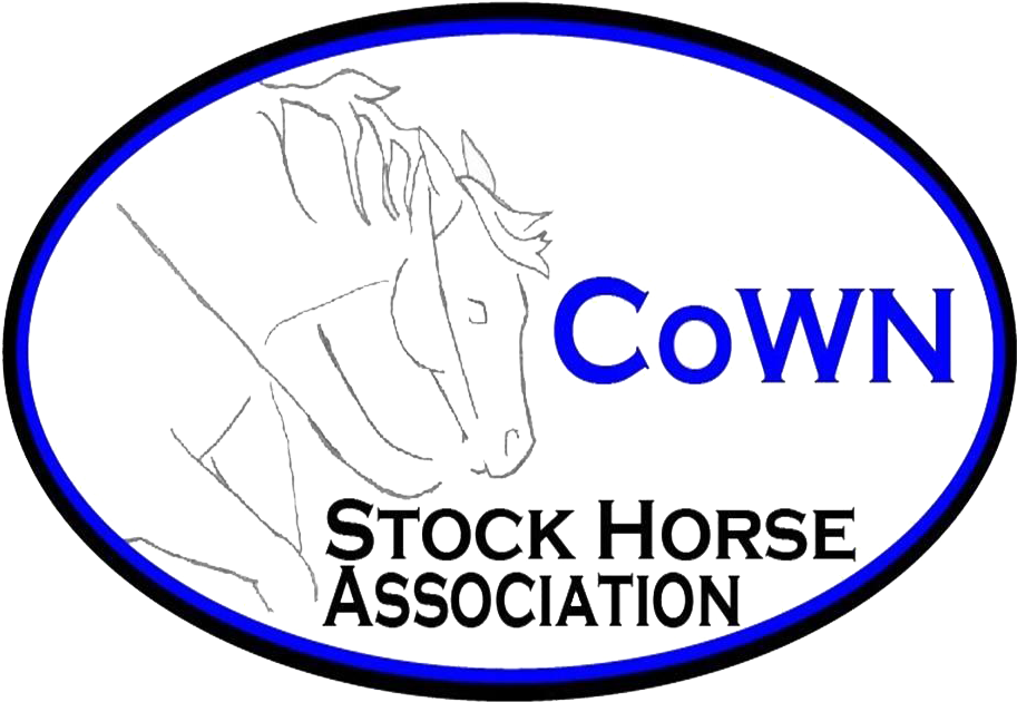 Building Stronger Relationships Between Horse And Rider - Hopital Sourire (975x688), Png Download