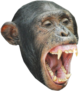 Monkey Head Messages Sticker-2 - Monkey (408x408), Png Download