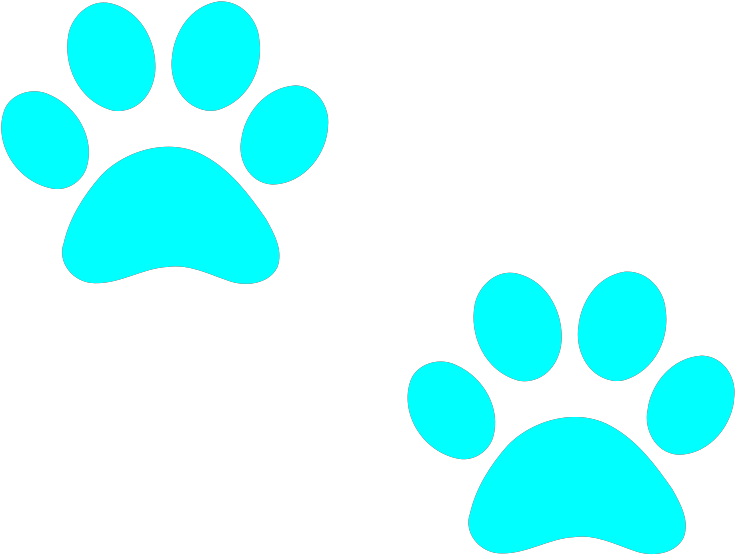 Puppy Paw Print Clip Art - Teal Paw Prints (600x452), Png Download
