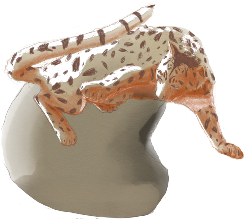 Marcat - Basic Pump (1000x750), Png Download