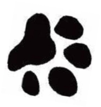 Red Wolf Paw Print - Paw (744x744), Png Download