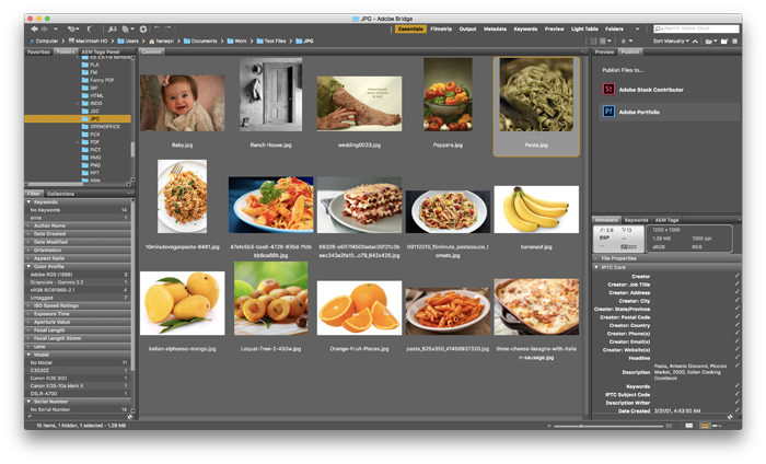 Digital Asset Management Software Download Free Bridge - Adobe Bridge (700x424), Png Download