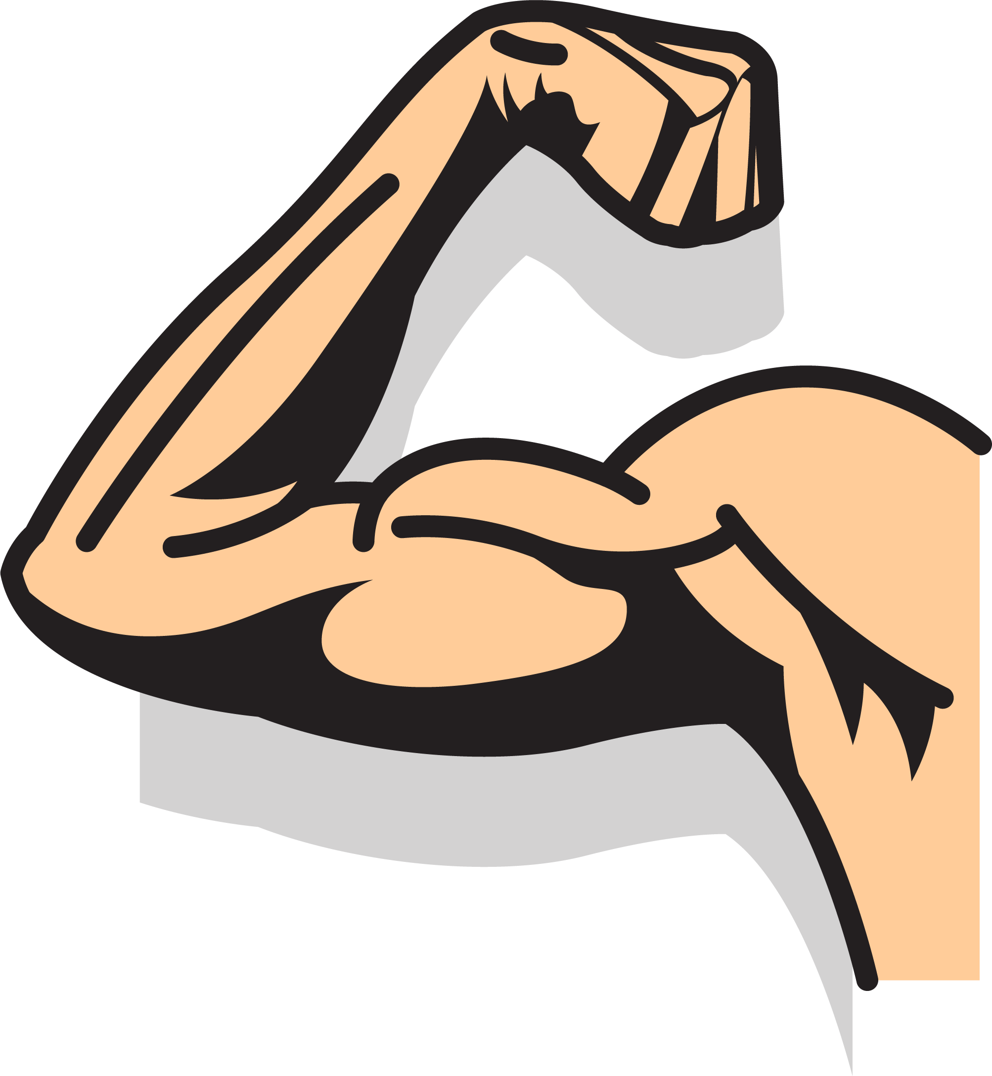Transparent Arms Strong Arm Svg Free Stock - Strong Arm Cartoon Png (2006x2176), Png Download