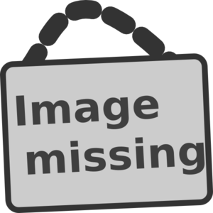 Strongarm Apparel Ltd Partners With Waka Ama Nz As - Missing (300x300), Png Download