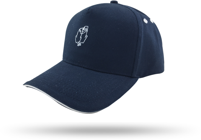 Embroidery 5 Panel Baseball Caps (870x555), Png Download