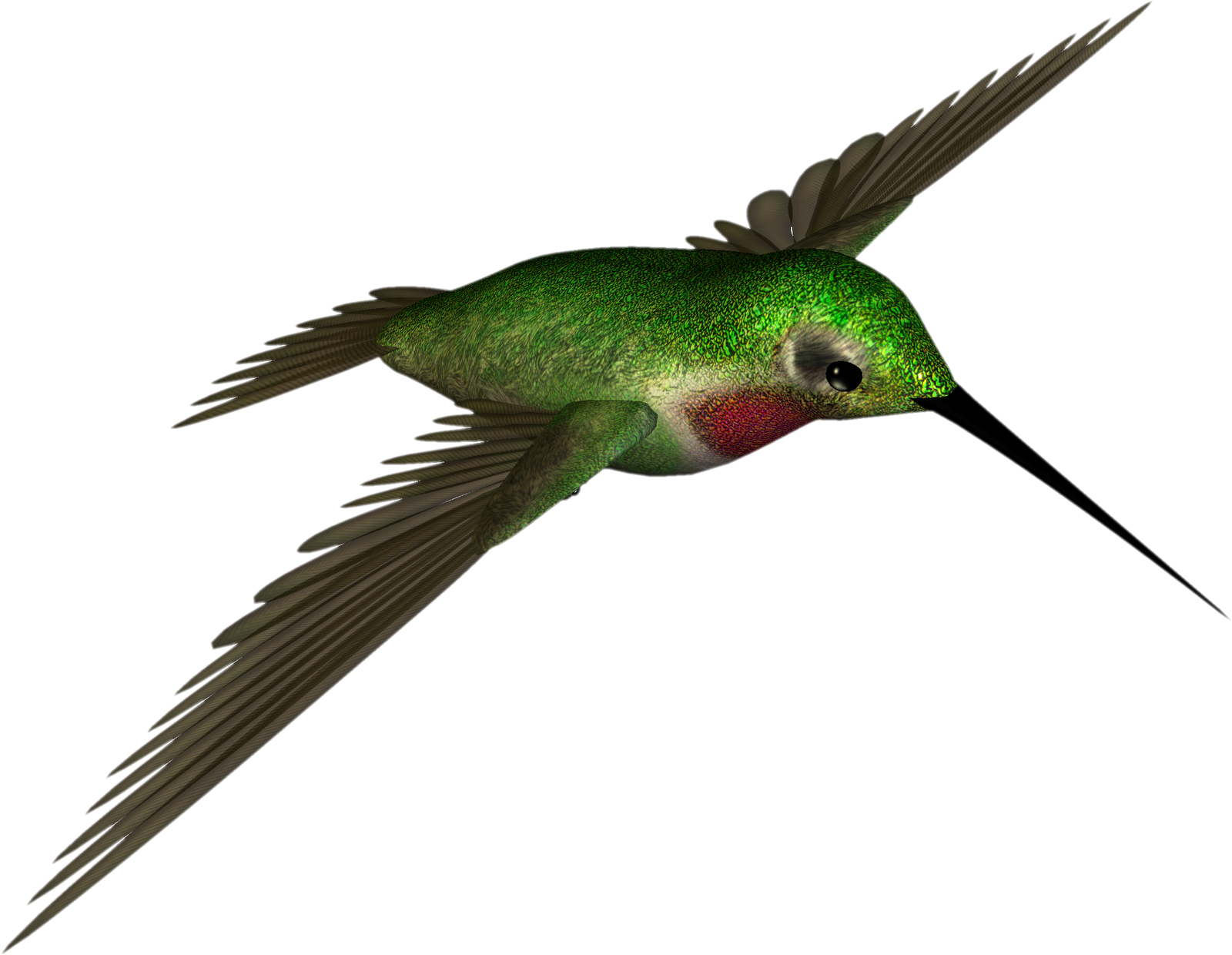 Hummingbird Clipart Colored Bird - Hummingbird .png (1600x1240), Png Download