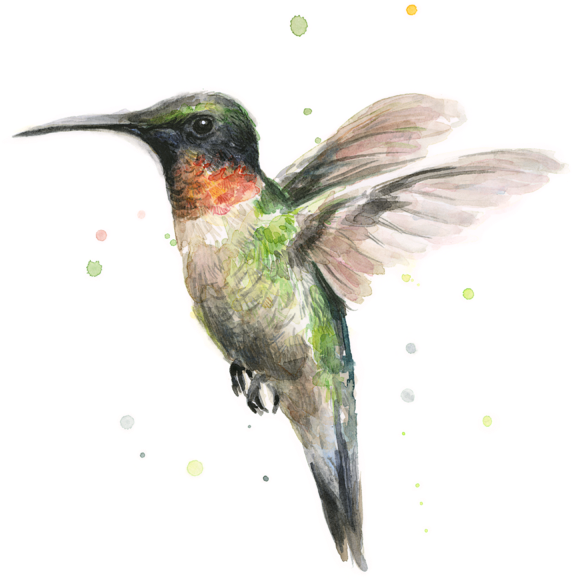 Bleed Area May Not Be Visible - Hummingbird T Shirt For Men (600x594), Png Download