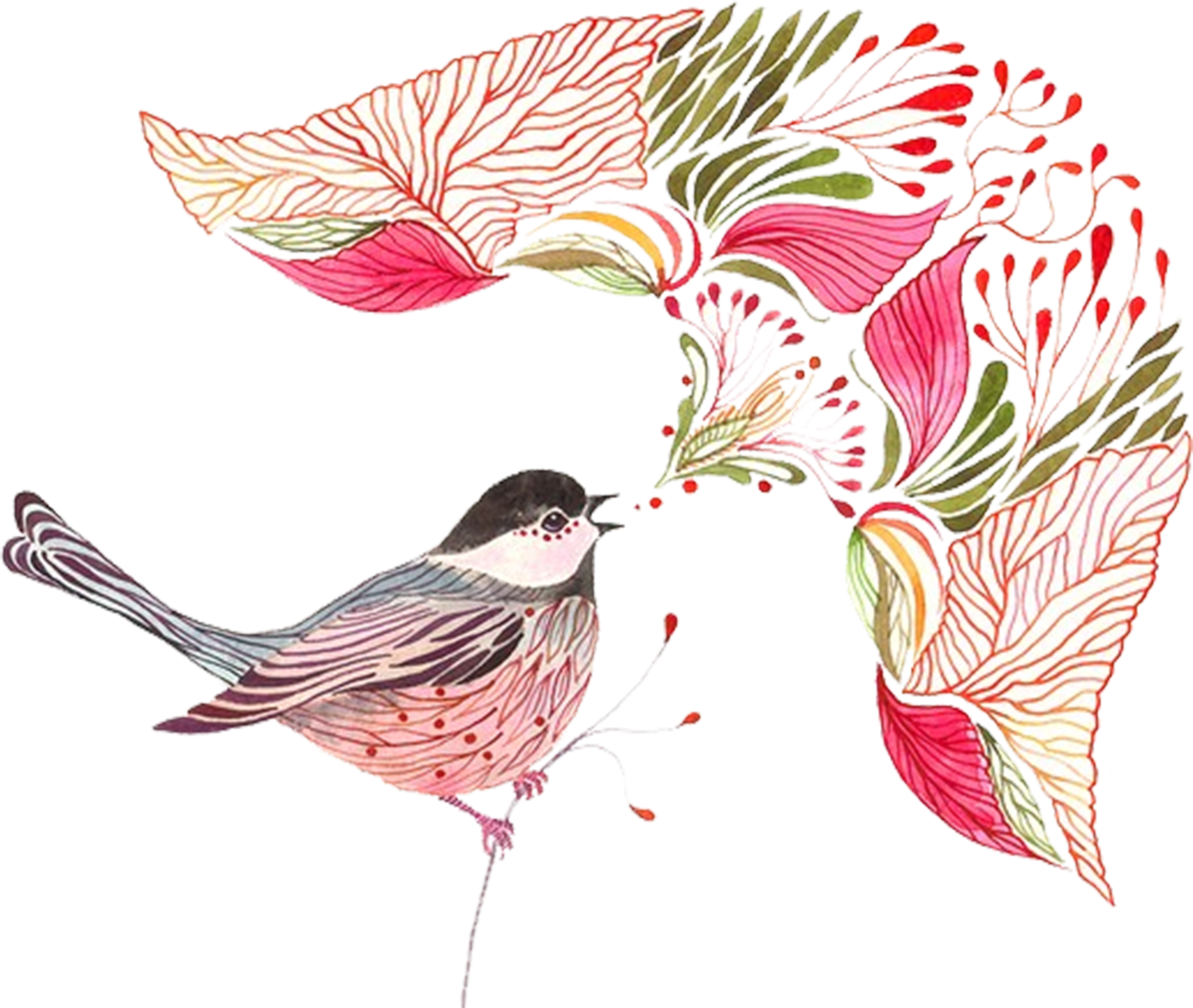 Bird Animal Watercolor Painting (3508x2480), Png Download