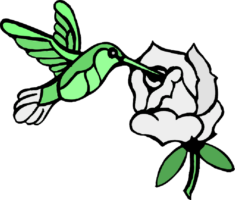 Mb Image/png - Draw A Hummingbird (800x683), Png Download