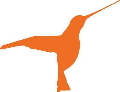 Orange Hummingbird - Hummingbird Symbol (400x305), Png Download