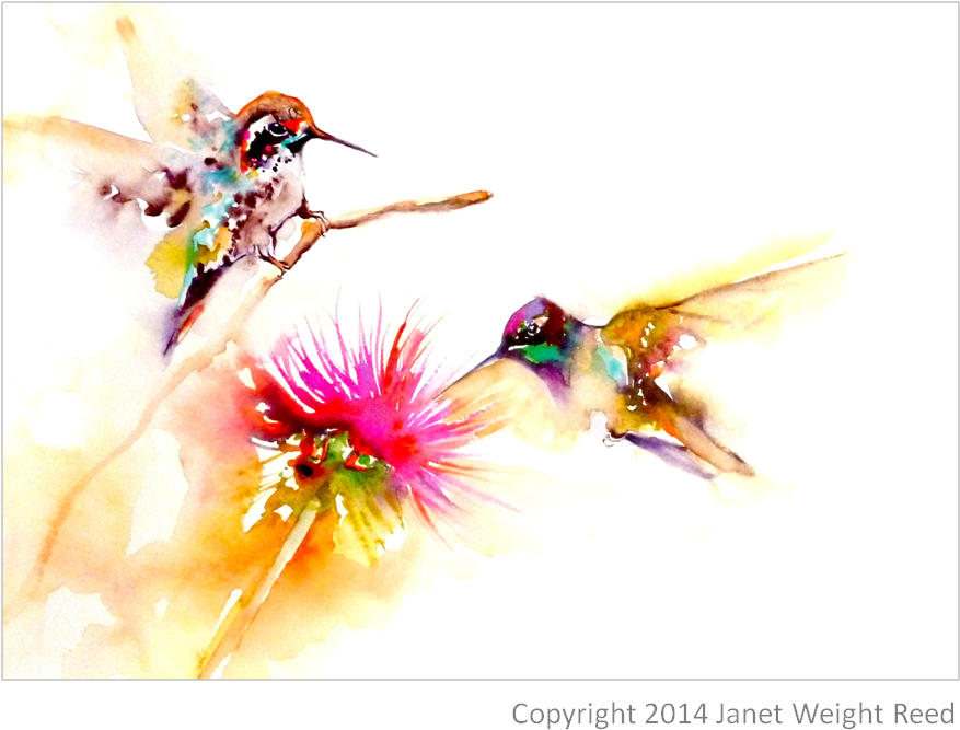 "thistle For Two" Hummingbird Print On Aluminum By - Two Hummingbird (1052x1052), Png Download